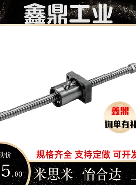 滚珠丝杆套装BSX BSS BSSE0601 1004 1202 1210 1505 2010 2520