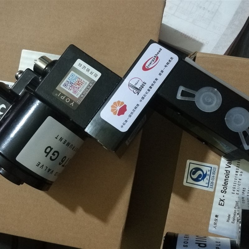 乐清市人民仪表Ed551隔爆电磁阀EdG55101NMS220VAC- A3C6S   M3BS