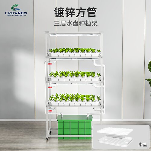镀锌水盘式种植架种菜机室内智能水培无土栽培蔬菜设备科研展厅