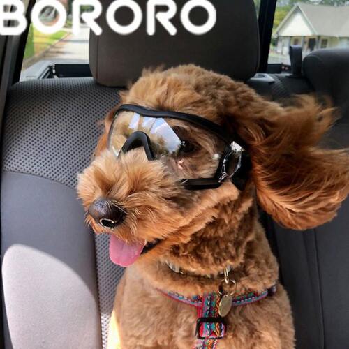 BORORO宠物护目镜透明款眼镜防水防风防雪紫外线宠物大狗眼镜