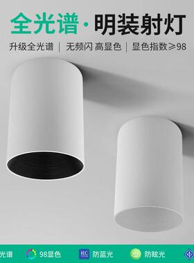 明装筒灯led长桶家用防眩射灯免钻孔天花吸顶式北欧cob卧室过道