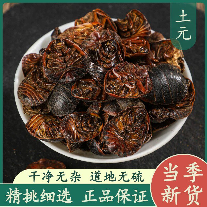土元50g中药材正品新鲜干货精选土元虫土鳖子干地鳖虫土元粉泡酒