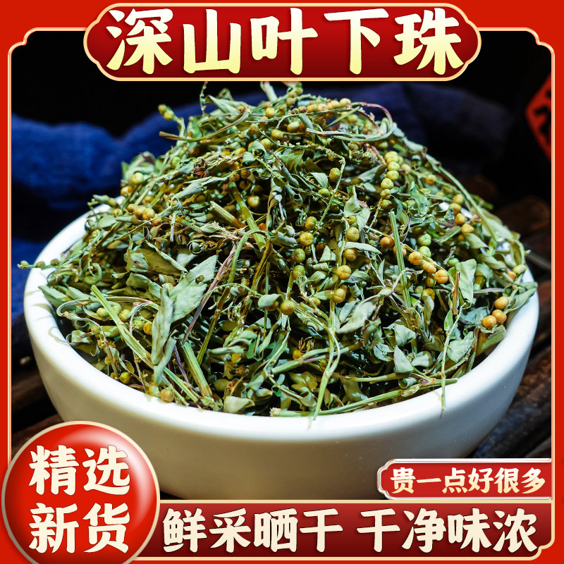 野生深山叶下珠中药材新货250g/500g干货广西珍珠草晒干龙珠草