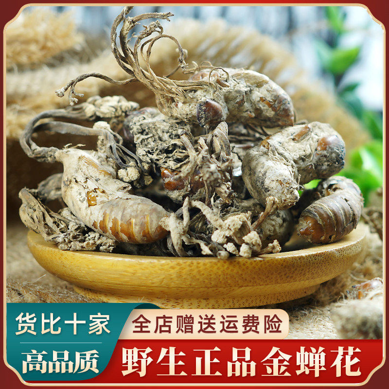金蝉花中药材 官方旗舰店正品无硫新货虫草粉金蟾花大别山知了花