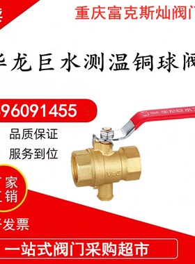 华龙巨水VG热力测温球阀热计量表专用铜球阀供暖测温阀DN20螺纹