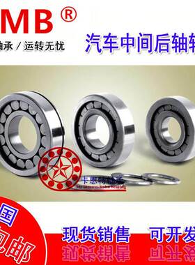 TMB满珠非标圆柱滚子轴承 20x45x18 204518 内径20外径45厚度18