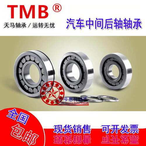 TMB满珠非标圆柱滚子轴承 20x45x18 204518 内径20外径45厚度18