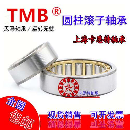 浙江TMB天马圆柱滚子轴承NJ NU N NF NUP 320 321 322 324EM E C3