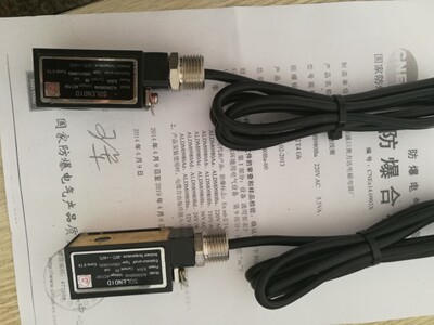 ALDM0980Ab电磁阀防爆线圈110V AC 防爆线圈ModeI: Ex0991 AC110V