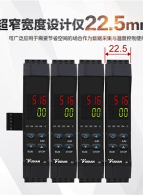 厦门宇电AI-516D5/516PD5/519D5/7028D5/7048D5导轨工控控制模块