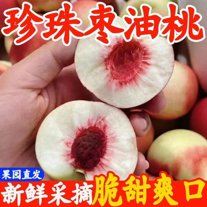 当季纯甜珍珠枣油桃现摘现发脆桃珍珠枣蜜桃珍珠油桃新鲜水果