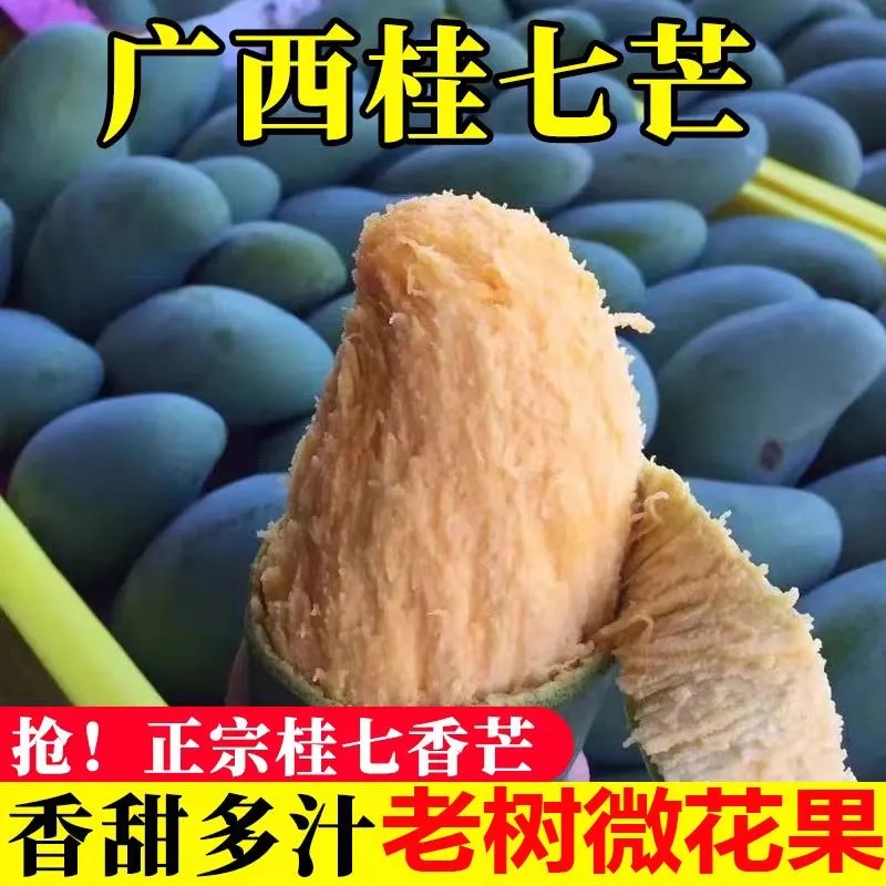 【果香浓郁】正宗广西百色桂七芒青皮芒果当季新鲜水果整箱包邮