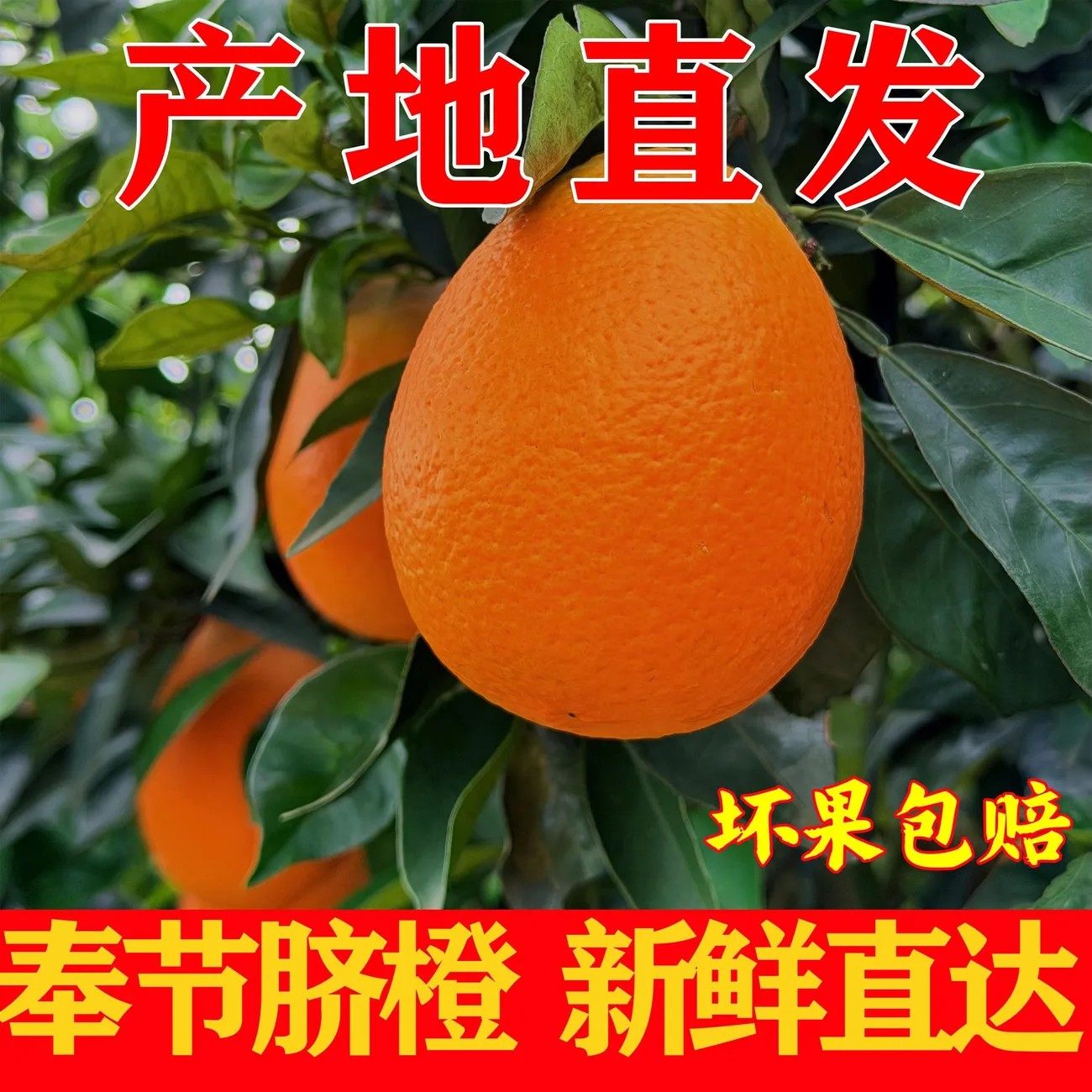 奉节脐橙新鲜橙子果香大果孕妇水果当季榨汁薄皮非重庆发新鲜包邮,水产肉类/新鲜蔬果/熟食,橙,淘宝优惠券,粉丝福利购,淘宝优惠卷