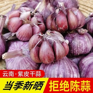 正宗2025云南大理紫皮红皮干蒜今年新晒大蒜多瓣蒜大蒜头批发包邮