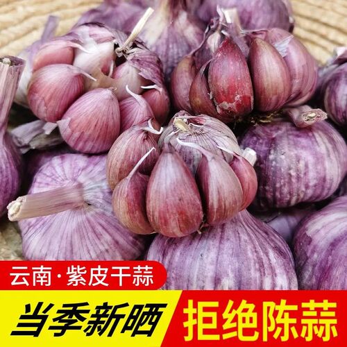 正宗2026云南大理紫皮红皮干蒜今年新晒大蒜多瓣蒜大蒜头批发包邮