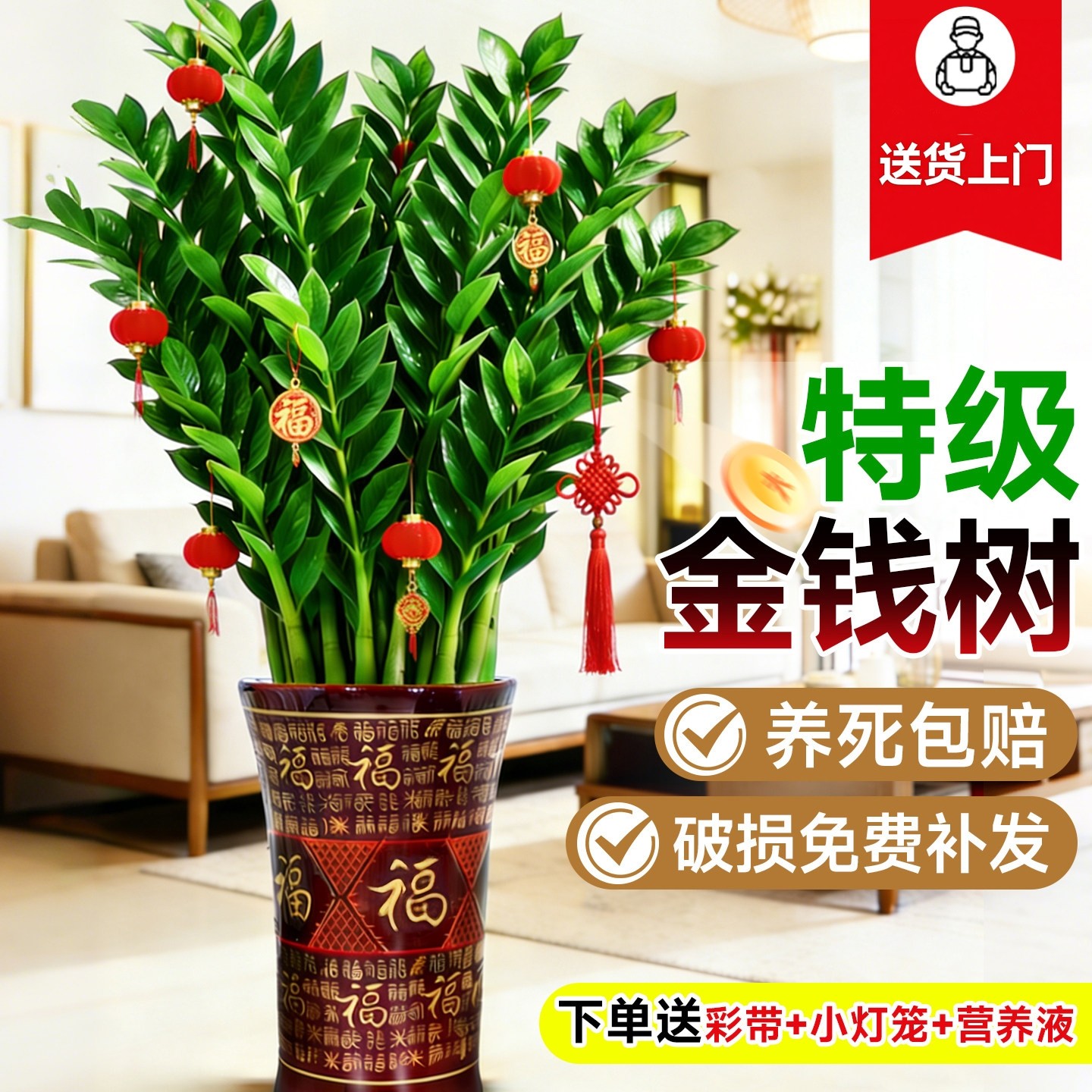 金钱树盆栽客厅大型高级花卉招财树办公室内四季好养活绿植物树苗