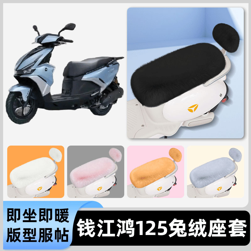 适用钱江鸿125电瓶电动车冬座套坐垫套座位防雨罩防水防晒饰配件
