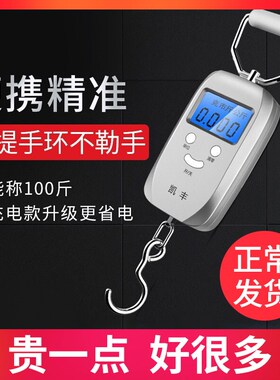 凯丰迷你手提电子秤50kg便携式高精度家用快递称小秤弹簧小型手拿