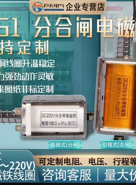 10KV高压户内真空断路器DC110V220VVS1ZN63ZW32电磁铁分合闸线圈