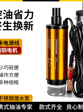 电动抽油泵12V24伏220V柴油汽油通用油抽子抽水泵小型抽油神器
