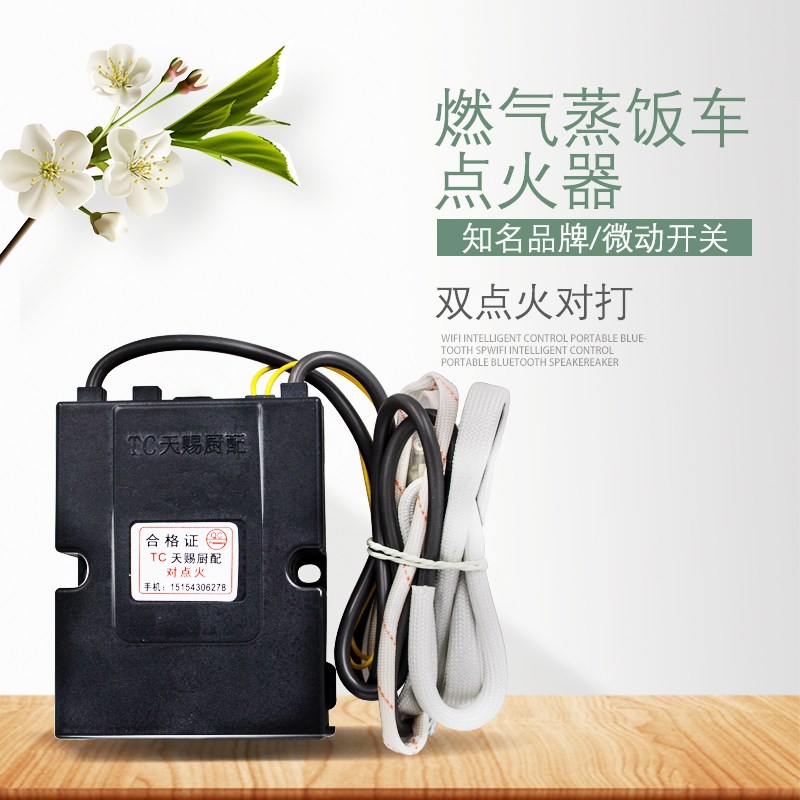 蒸箱点火器控制器蒸饭车打火器装电池点火器TC天赐厨配双点火配件