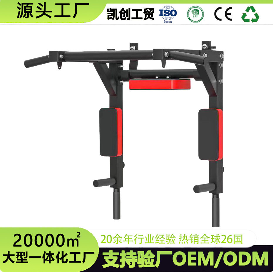 室内墙体引体向上单双杠600斤
