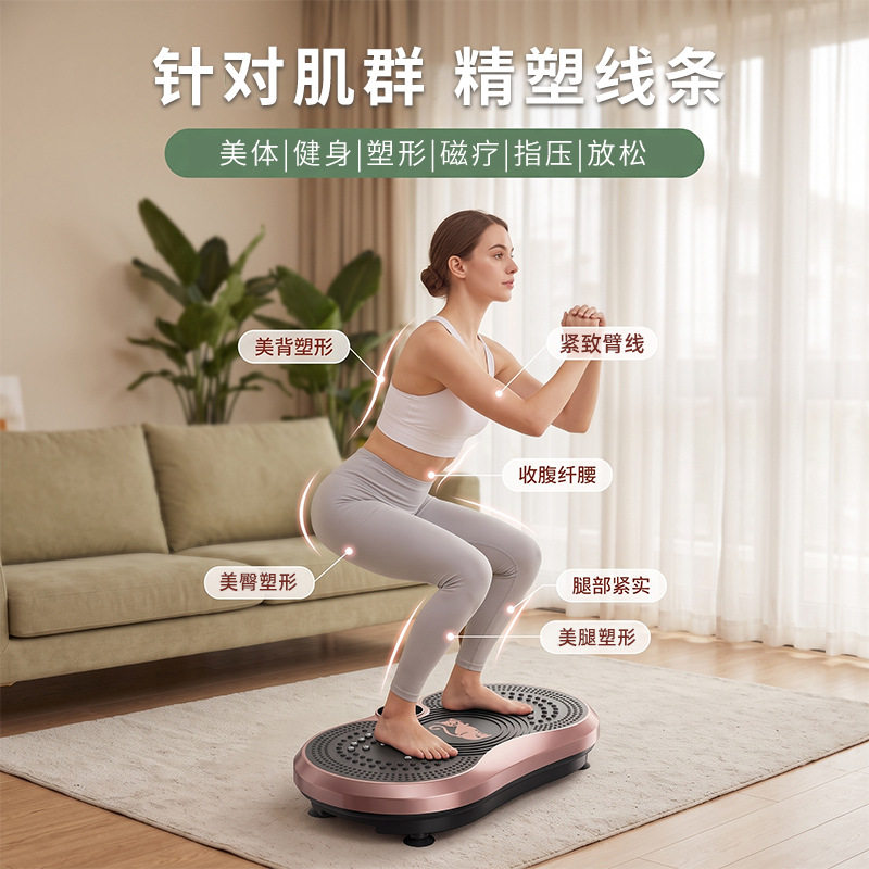 进口大马力全身震动甩脂机家用