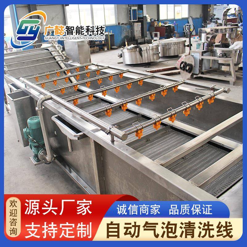 桑葚果车厘子气泡清洗机喷淋式果蔬清洗机不锈钢土豆片清洗机