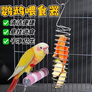 鸟类喂食器不锈钢水果蔬菜篮悬挂式玩具鹦鹉投喂神器鸟笼配件用品