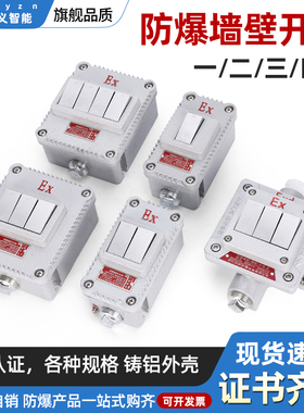 防爆墙壁照明开关220V明暗装单开双开三开10A厂房车间BQK控制380V