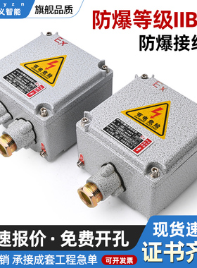 防爆接线箱配电箱增安型隔爆照明空仪表模块定制控制柜工业开IIC