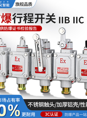防爆行程开关限位开关DLXKLX5-15B5d脚踏双踏柱塞lx5-D滚轮EX摇臂
