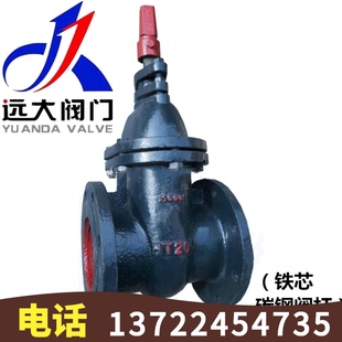 暗杆闸阀DN40 河北远大阀门 16铸铁地下地埋式 燎原SZ45W DN350