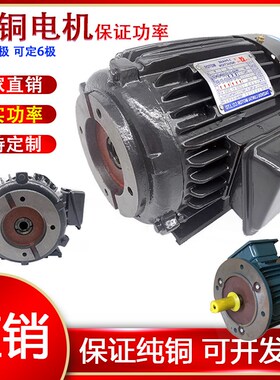 液压电机总成电动机油泵专用075kw15千瓦22内插式外轴式家用电