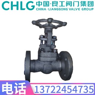 中国良工阀门Z41Y DN32 100I锻铬钼钢法兰闸阀DN15