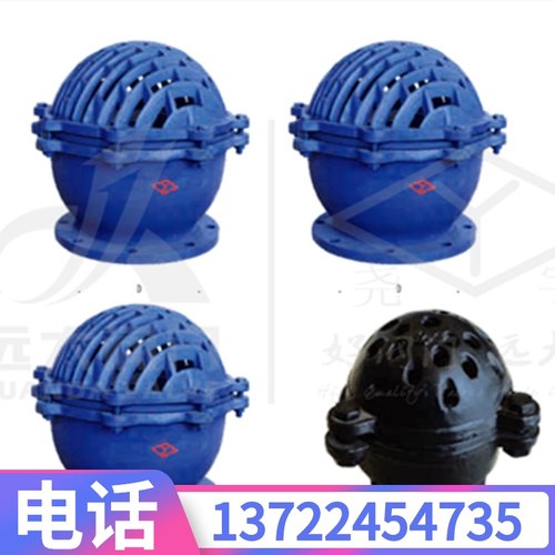 河北远大阀门 H42X-2.5铸铁软密封法兰水泵吸水底阀DN50-DN500