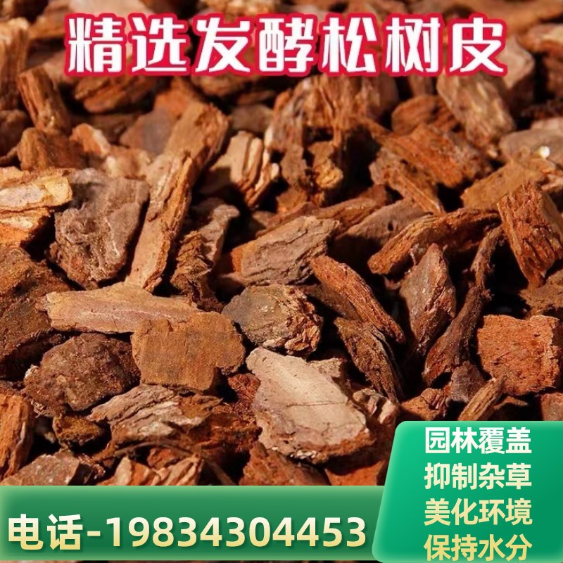 广东松树皮块松鳞发酵腐熟包邮兰花专用君子兰植料石斛月季兰科营