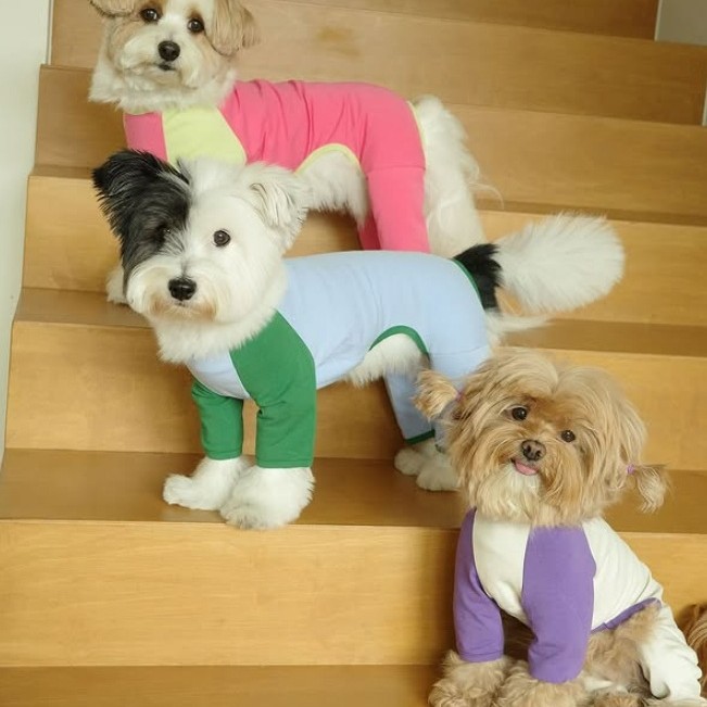 25年新款宠物衣服狗狗撞色拼接德绒加厚保暖冬天四脚打底衫狗衣服