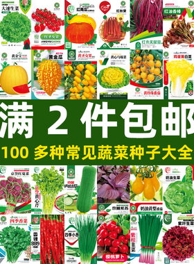 蔬菜种子 四季阳台菜种籽盆栽菜籽大全 香菜萝卜籽种生菜白菜种孑