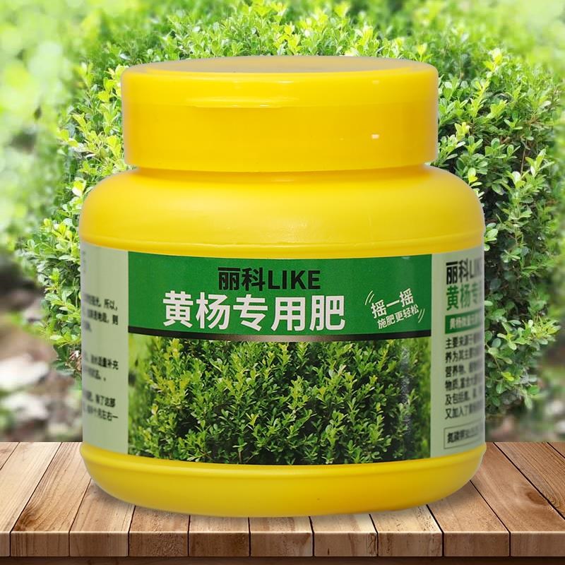 黄杨专用肥花肥家用盆栽通用有机肥料植物缓释肥黄杨盆景专用肥