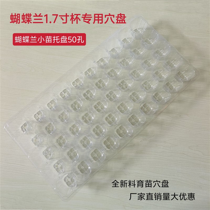 蝴蝶兰托盘1.7寸杯专用穴盘育苗盘瓜果蔬菜育苗盘全新料耐晒耐用