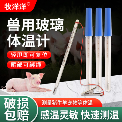 水银体温计兽用玻璃温度计猪牛羊