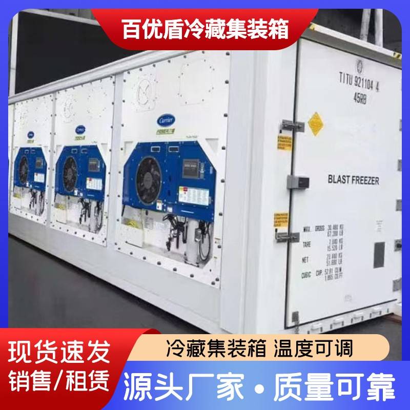 宁波厂家冷藏集装箱租赁 集装箱出租 冷冻箱出租 移动小冷库出租