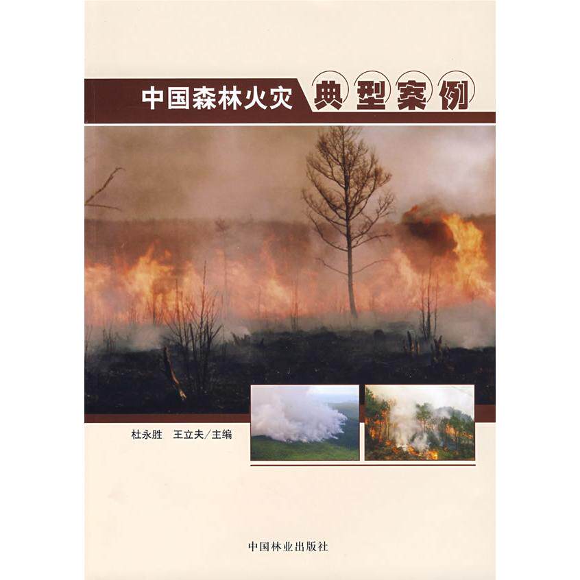 正版新书 中国森林火灾典型案例 杜永胜王立夫 著作 中国林业出版社