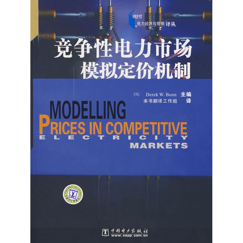 正版新书 电力经济与管理译丛——竞争电力市场模拟定价机制 （英）布恩 李春杰 赵会茹 中国电力出版社