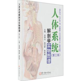 第三版 瑞山 杨向群 正版 第二军医大学出版 人体系统解剖学实物图谱 张传森 社 新书