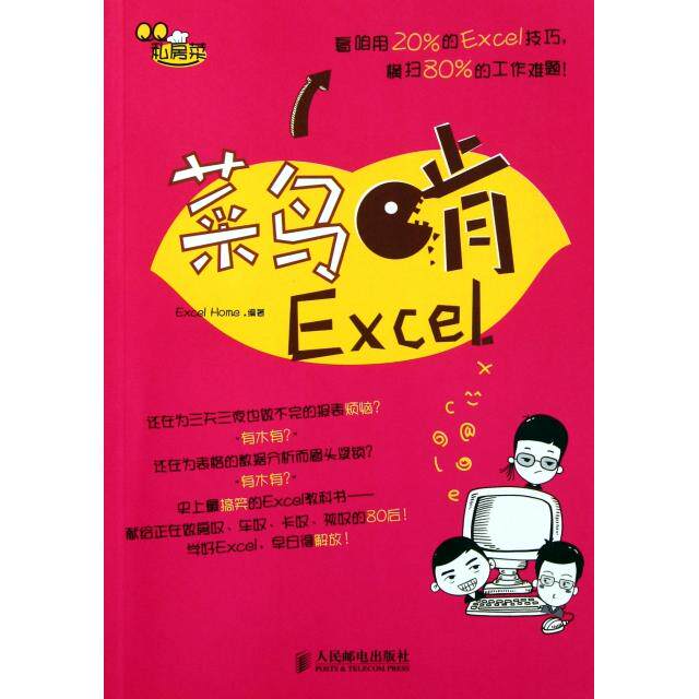 正版二手 菜鸟啃Excel(私房菜) Excel Home 人民邮电