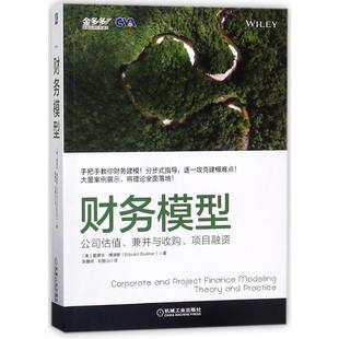 公司估值.兼并与收购.项目融资 财务模型 美 爱德华？博德默 社 正版 机械工业出版 新书