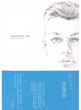 正版新书 美丽男孩 （美）谢夫（Sheff D.） 陈俊群 上海译文出版社