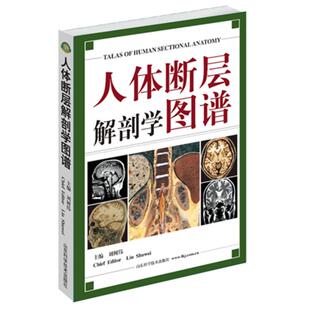 正版新书 人体断层解剖学图谱（刘树伟主编，与课本同一编者，CT、MRI和断层解剖的参考书) 刘树伟 山东科学技术出版社